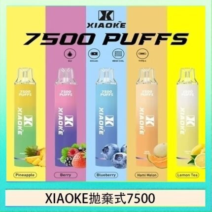 LANA Bar拋棄式一次性電子煙BC6000口Puffs